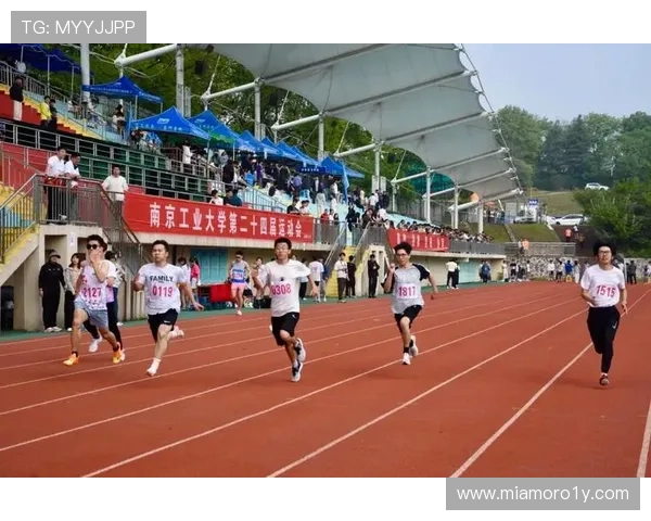 体育运动会联赛（体育运动比赛）sports